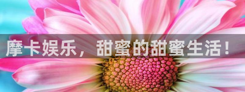 壹号大舞台官网