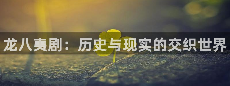 伟德国际集团 壹号(one game)