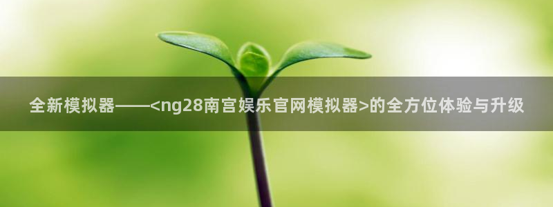 电子游戏长征平台