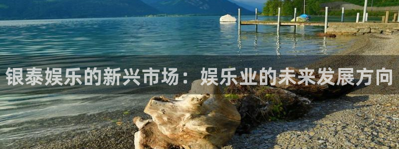 长征平台平台管网入口