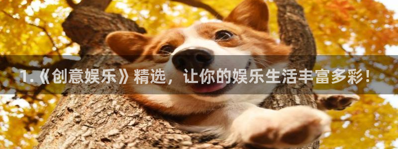长征平台平台链接