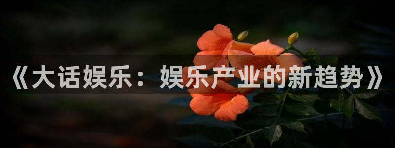长征平台电子游戏