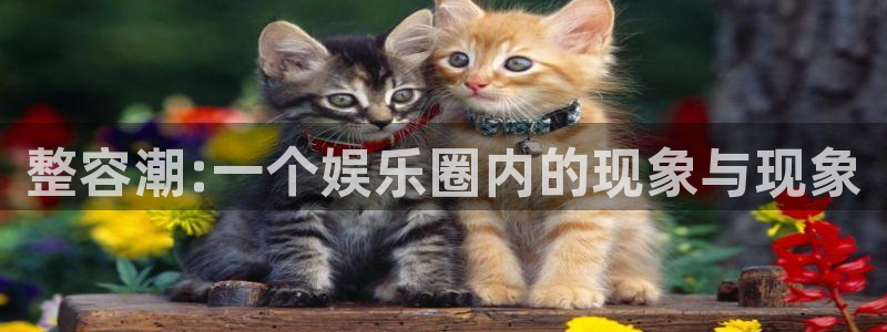 长征平台加拿大在线预测
