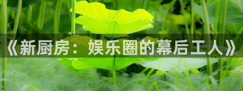 壹号电子娱乐app下载安装最新版本
