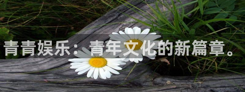 长征平台app