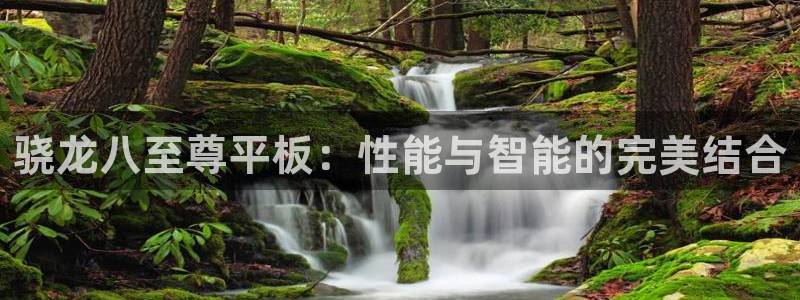 长征平台网站登录流程