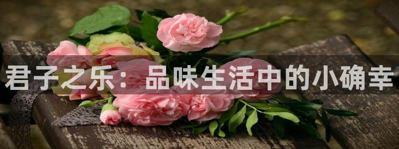 长征平台那个爆率高