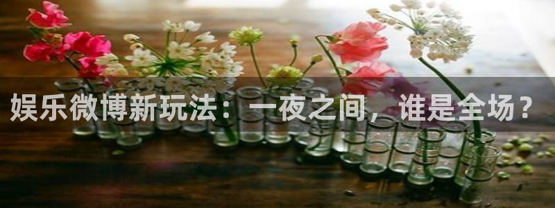 长征平台加拿大