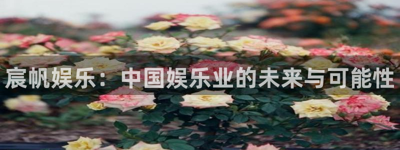 下载长征平台app