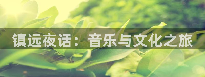 长征平台平台官方入口下载