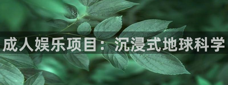 长征平台官方网站