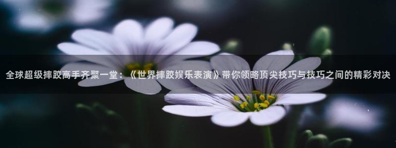 长征平台平台注册