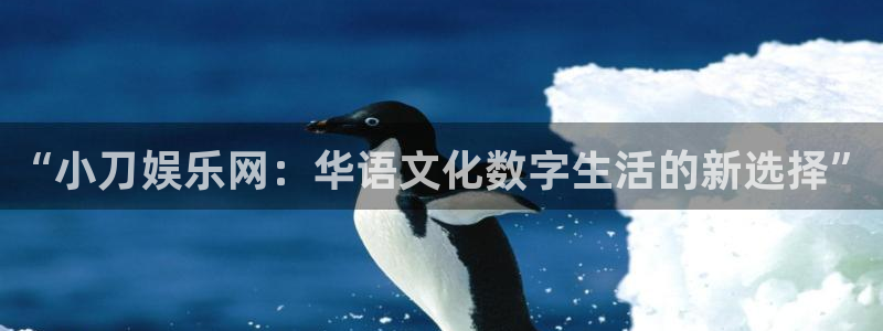 壹号大舞台有梦你就来