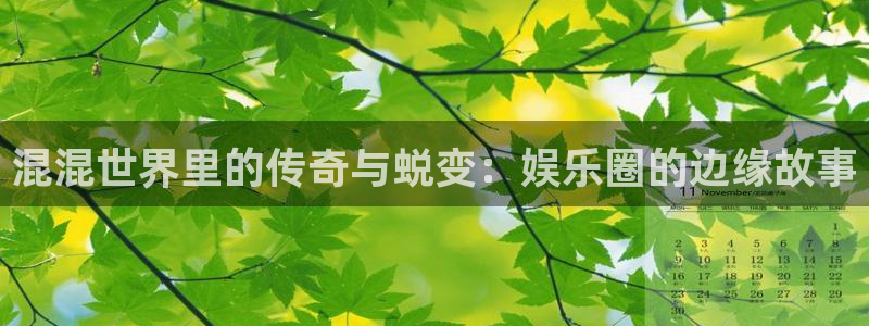 长征平台app哪个模式容易赢