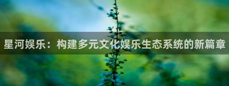 长征平台链接