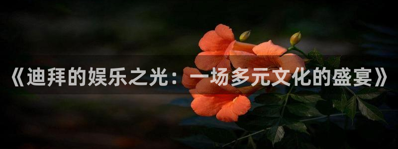 长征平台是大平台吗