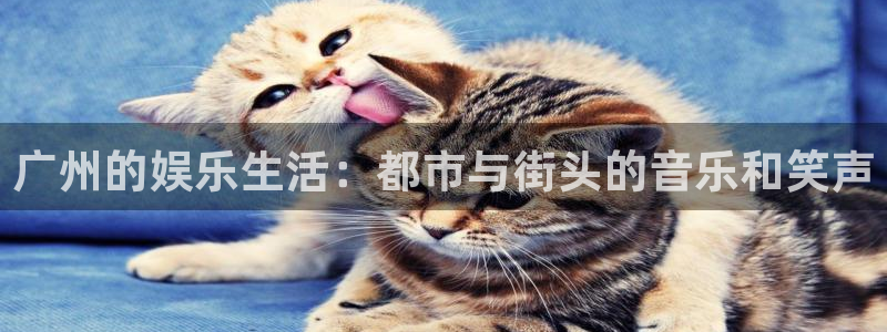 长征平台注册平台