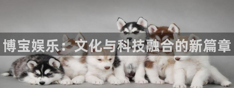 长征平台官网