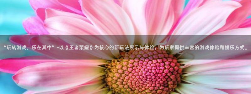 长征平台官网版下载