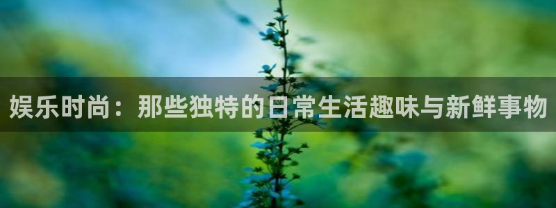 长征平台网站登录流程