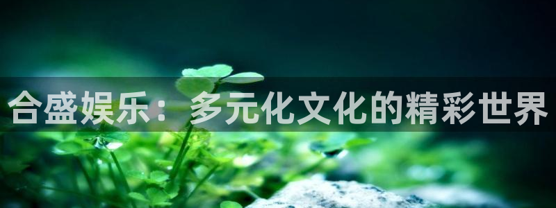 壹号玩家app下载