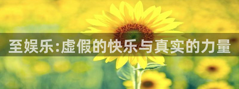 长征平台app入口