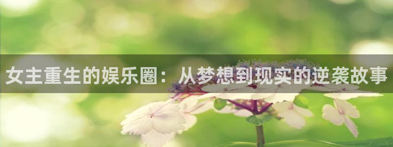 长征平台麻将胡了