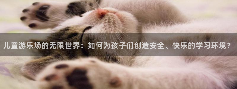 长征平台 - ng大舞台,有梦你就来：儿童游乐场的无限世界：如何为孩子们创造安全、快乐的学习环境？